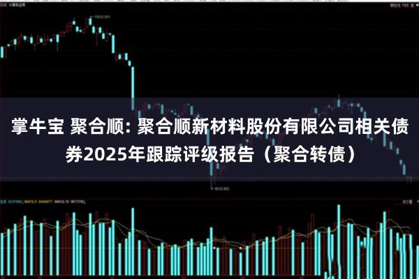 掌牛宝 聚合顺: 聚合顺新材料股份有限公司相关债券2025年跟踪评级报告(聚合转债)