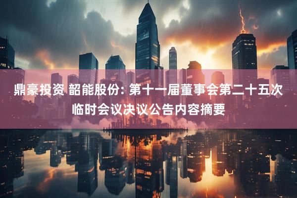 鼎豪投资 韶能股份: 第十一届董事会第二十五次临时会议决议公告内容摘要