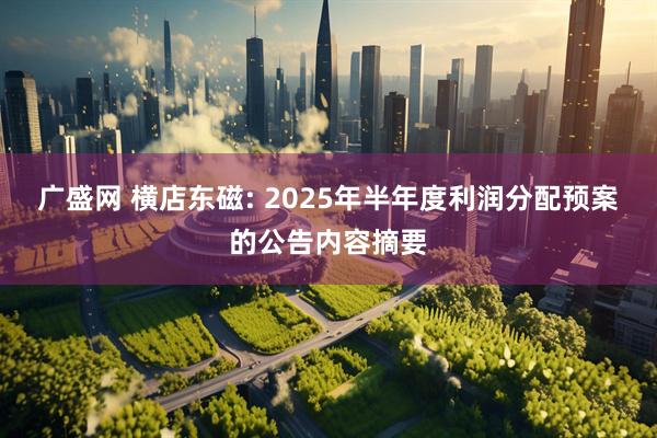 广盛网 横店东磁: 2025年半年度利润分配预案的公告内容摘要