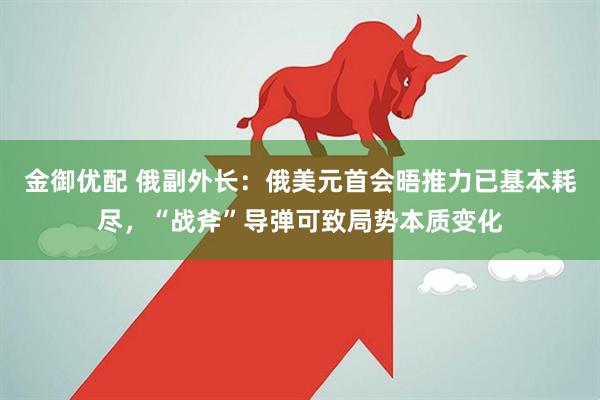 金御优配 俄副外长：俄美元首会晤推力已基本耗尽，“战斧”导弹可致局势本质变化