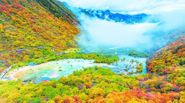 创利配资 阿坝秋日美景上线